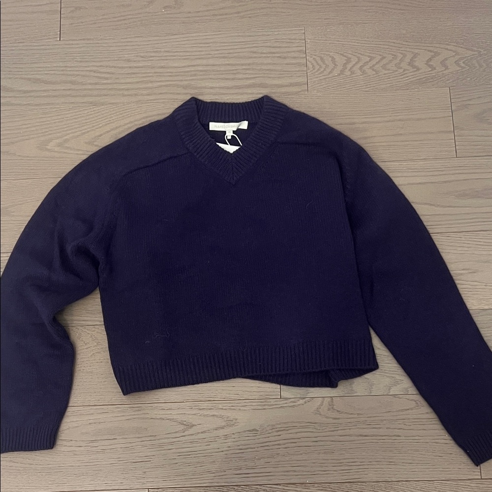 NakedCashmere Deep Purple V-Neck Sweater